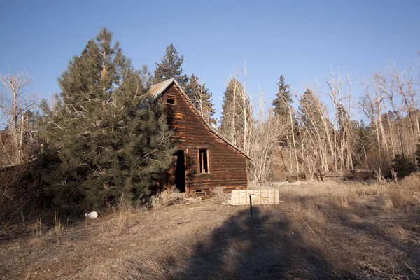 Antiguo Granero Abandonado Cabaña Bosque — Foto de Stock