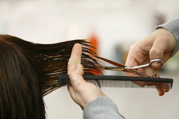 Cabeleireiro Corte Cabelo Salão Cabeleireiro — Fotografia de Stock