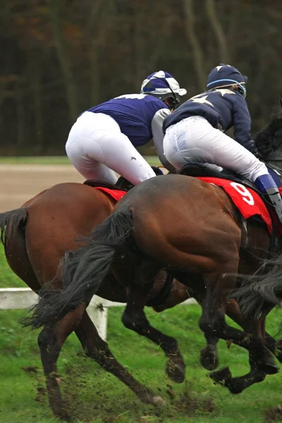 Chevaux Jockeys Hippodrome Jusqu Arrivée — Photo