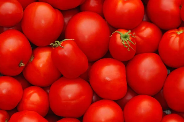 Tomates Vermelhos Maduros Como Fundo — Fotografia de Stock