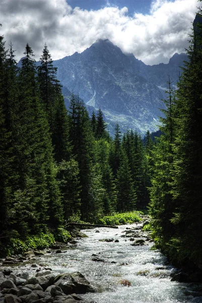 Hermosa Vista Las Montañas Tatry — Foto de Stock