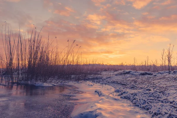 Zamarznięte Jezioro Trawy Sylwetki Sunrise — Zdjęcie stockowe