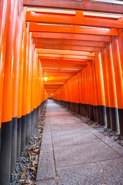 Тисячі Кіновар Torii Ворота Fushimi Inari Taisha Shrine Кіото Японія — стокове фото