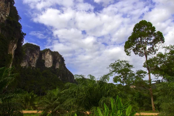 Vägen Tropikerna Kullar Och Träd Krabi Provinsen Thailand — Stockfoto