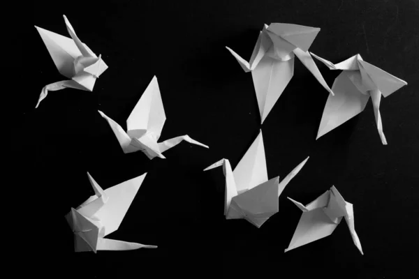 Grúas Origami Sobre Fondo Negro —  Fotos de Stock
