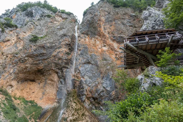 Cascade Rinka Avec Belvédère Des Aigles Logar Vallée Logarska Slovénie — Photo