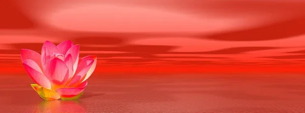 Giglio Rosso Fiore Nell Oceano Simboleggiare Primo Chakra — Foto Stock