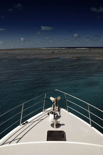 Surface Great Barrier Reef Port Douglas Australia — Stock Photo, Image