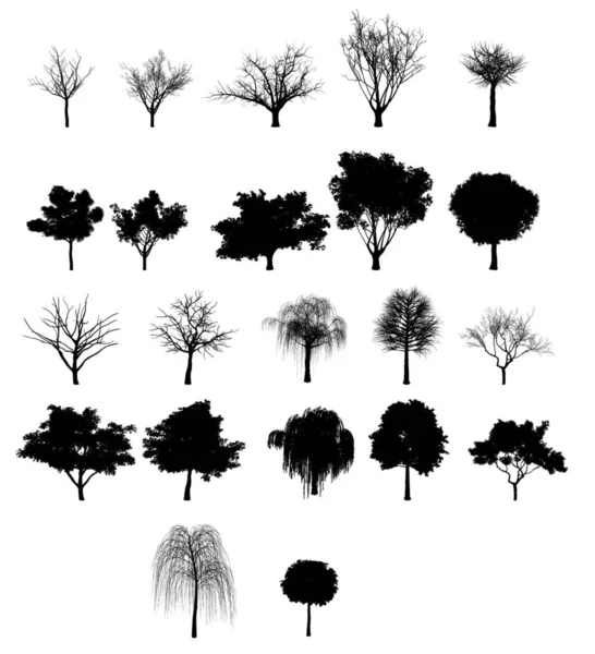 Kolekcja Czarnych Drzew Odizolowanych Białym Tle — Zdjęcie stockowe