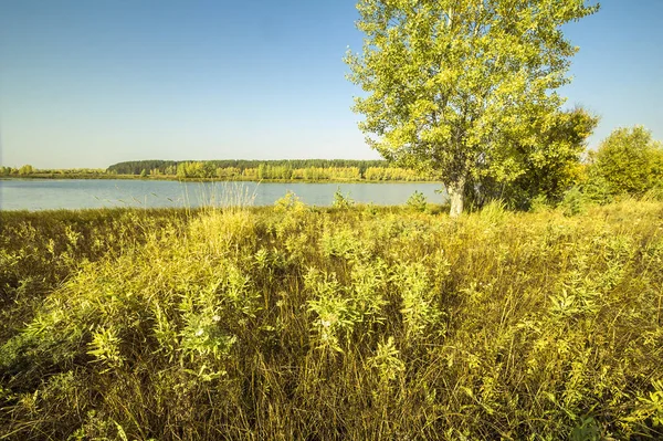 Podzimní Náčrtky Krajiny Přírody Sibiře Poblíž Město Tobolsk — Stock fotografie