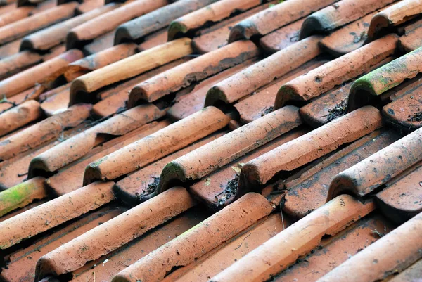 伝統的な古代の建物タイル張りの屋根 — ストック写真
