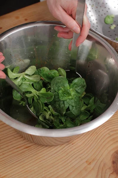 Ensalada Maíz Verde Mache Ensalada Lechuga Campo Maíz —  Fotos de Stock