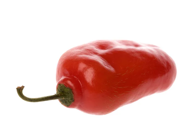 Isolated Macro Image Red Mexican Chilli — Stock Photo, Image