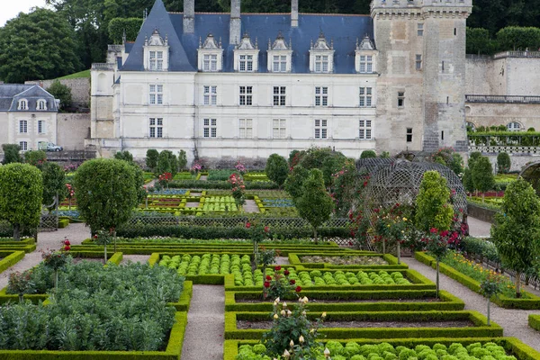 Ogrody Pałac Villandry Dolinie Loary Francji — Zdjęcie stockowe