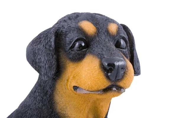 Izole Küçük Bir Plastik Oyuncak Köpek Başı — Stok fotoğraf