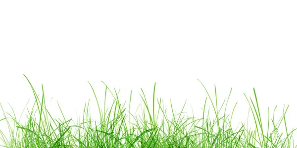 白地に分離された緑の草の牧草地 — ストック写真
