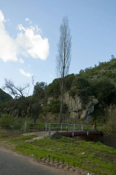 Montanha Portugal Com Uma Bela Floresta Coberta Cavernas — Fotografia de Stock