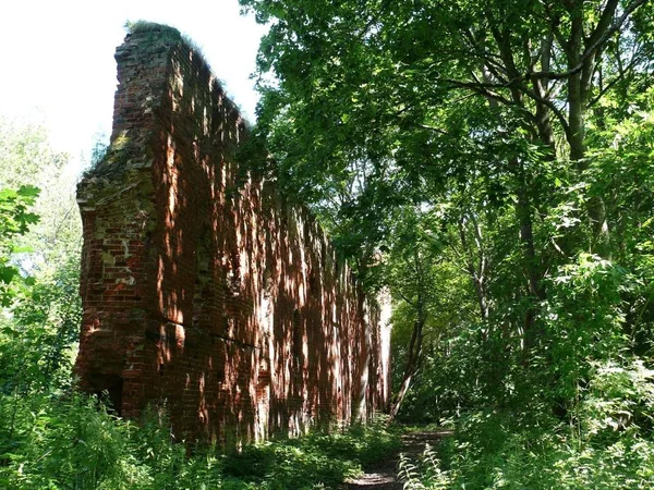 Ruiny Zamku Balga Obwodzie Kaliningradzkim — Zdjęcie stockowe