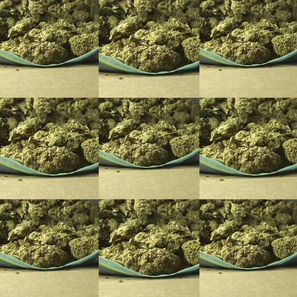 Ogräs Medicinsk Marijuana Grunge Detalj Och Bakgrund — Stockfoto