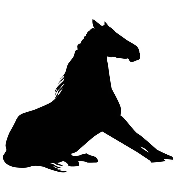 Silhouette Cavallo Seduto Isolato Sfondo Bianco — Foto Stock