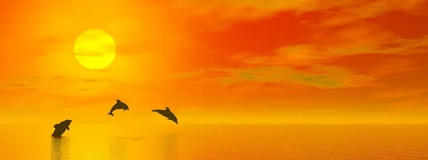 Shadow Three Small Dolphins Jumping Ocean Sun Red Sunset — Stock Photo, Image