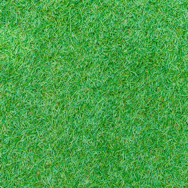 Textura Hierba Verde Inconsútil Del Campo Golf —  Fotos de Stock