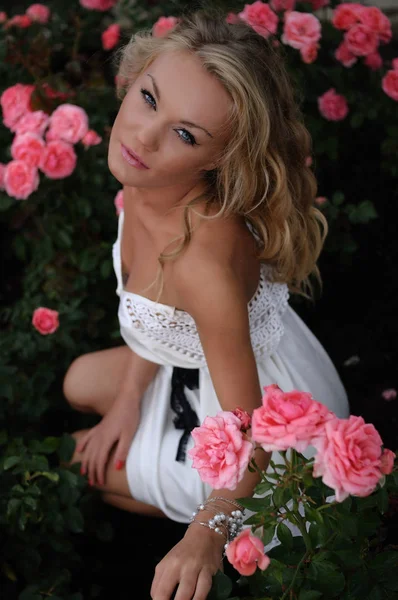 Retrato Aéreo Uma Bela Mulher Loira Sentada Uma Cama Rosas — Fotografia de Stock