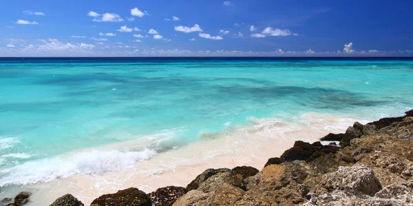 Blick Auf Den Atlantik Von Der Felsigen Küste Von Barbados — Stockfoto