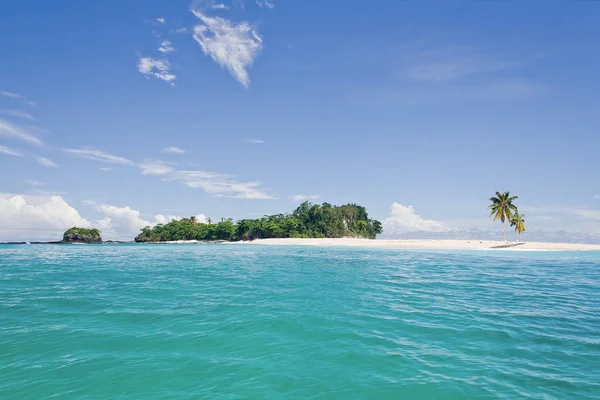 Isola Deserta Con Palme Sul Banco Sabbia — Foto Stock