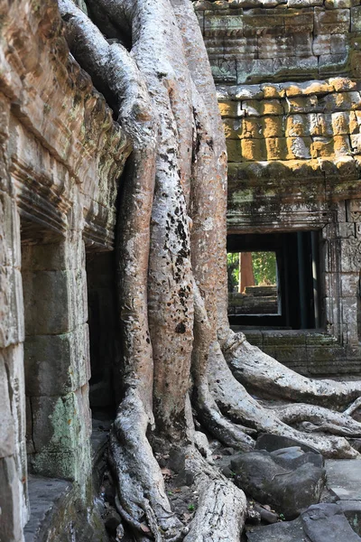Ερείπια Του Ναού Angkor Wat Στην Καμπότζη — Φωτογραφία Αρχείου