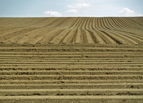 Campo Granja Con Surcos — Foto de Stock