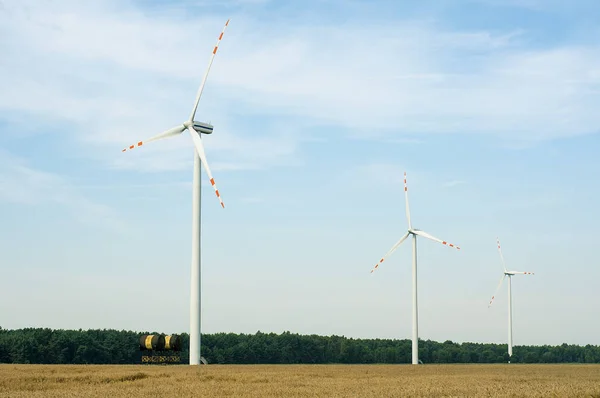 Windturbines Zomer — Stockfoto