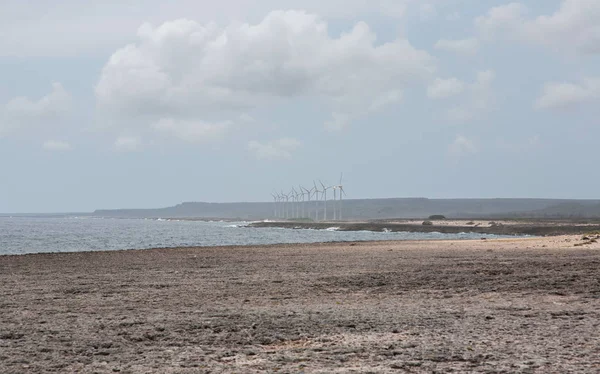Bonaire Isla Océano Atlántico Lado Salvaje Playa — Foto de Stock