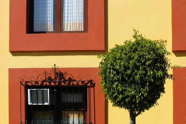 Typisch Mexicaans Huis Oaxaca Stad Mexico — Stockfoto