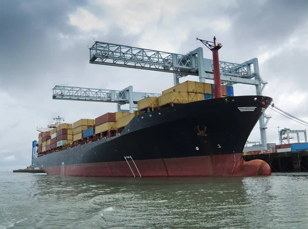 Container Fartyg Som Lastas Hamn — Stockfoto