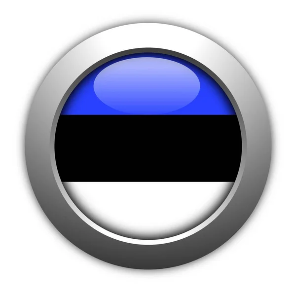 Estonia Signo Bandera Botón Insignia Para Sitio Web —  Fotos de Stock