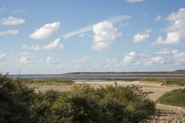 Paisaje Con Molinos Viento Holanda Cerca Del Puerto Rotterdam — Foto de Stock