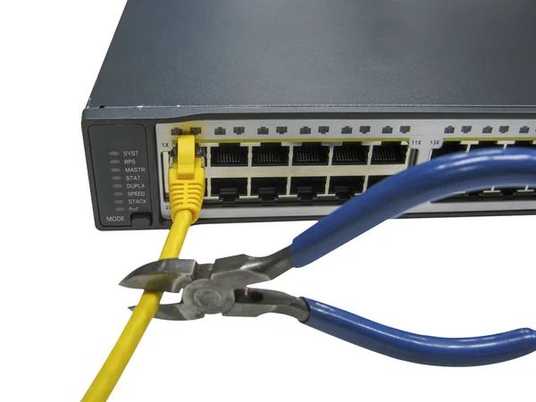 Corte Cables Ethernet Conectados Servidores Fondo Blanco — Foto de Stock