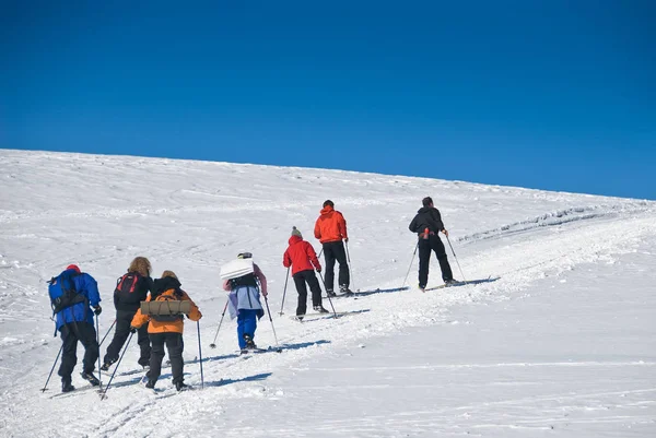 Groep Mensen Terug Land Skiën Een Heuvel Foto Genomen Oppdal — Stockfoto