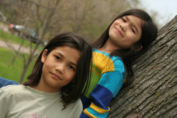 Dua Gadis Kecil Berdiri Melawan Pohon Musim Semi — Stok Foto