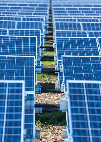 Field Many Photovoltaic Solar Panels — Stock Photo, Image