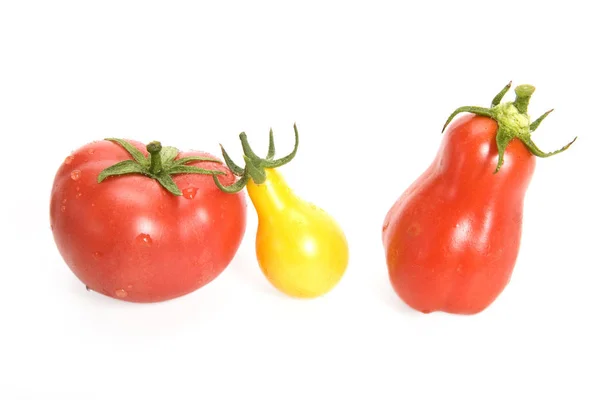 Tomates Sur Fond Blanc — Photo