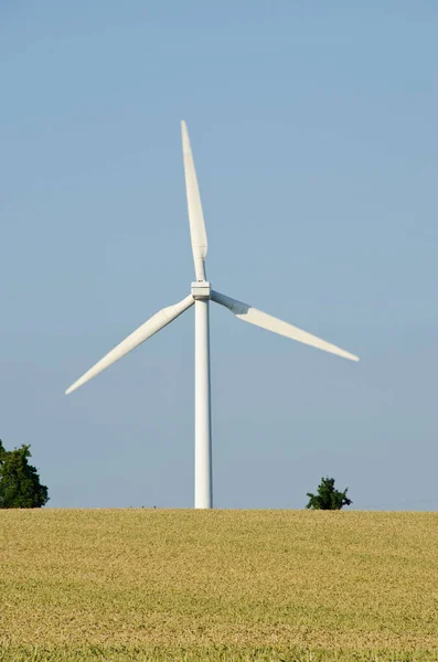 Windturbine Van Achteren Gezien Tegen Blauwe Lucht Tarweveld Voorgrond — Stockfoto