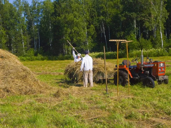 Immagine Preparazione Contadini Fieno Siberia — Foto Stock