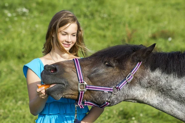 Mladá Dívka Dává Mrkev Svého Koně — Stock fotografie