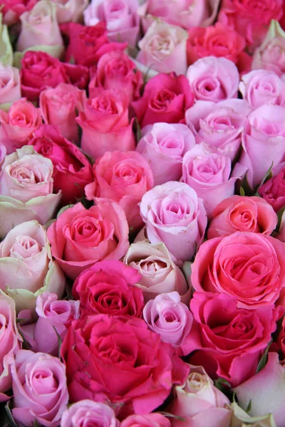 Groep Van Roses Verschillende Tinten Van Roze Onderdeel Van Bloemen — Stockfoto