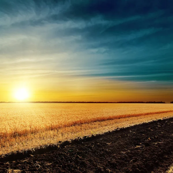 Puesta Sol Sobre Campo Cosecha —  Fotos de Stock