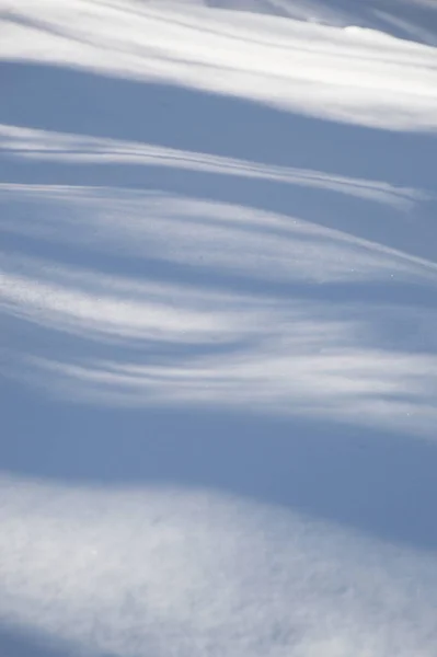 Abstraktní Stromy Vrhají Čerstvý Sníh Modré Stíny Obraz Modré Zvlněné — Stock fotografie