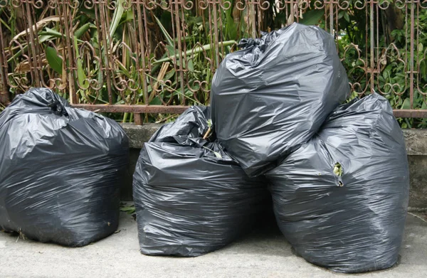 Black Garbage Bag Tied Tree Stock Photo by ©YAYImages 258566830