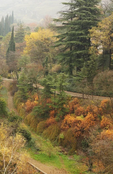Paisaje Otoñal Carretera Jardín Botánico Tiflis —  Fotos de Stock